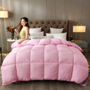 Axyaa 3D Down Quilt - Luxury Goose Down Comforter with Soft Cotton Fabric
