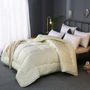 Axyaa Winter Hotel Style Quilted Comforter Queen King 220x240 - Warm & Cozy