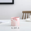 Axyaa Marble Ceramic Succulent Planter Set