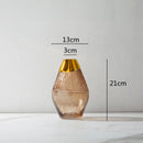Axyaa Transparent Glass Vase Flower Arrangement Home Decor Accessory