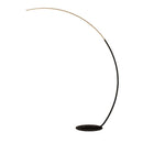 Axyaa Modern LED Floor Lamp for Home Decor and Lighting