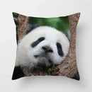 Axyaa Panda Print Polyester Cushion Cover - 45x45cm