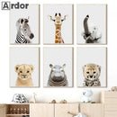 Axyaa Baby Animals Poster: Lion Tiger Hippo Giraffe Elephant Zebra Wall Art