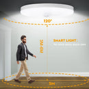 Axyaa Smart Sensor LED Ceiling Chandelier for Corridors, Aisles, and Stairs