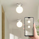 Axyaa Iron Glass LED Ceiling Light Modern Lamparas for Home Decor