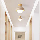 Axyaa Scandinavian Apartment Ceiling Light LED Lamps