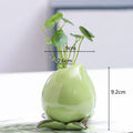 Axyaa Ceramic Persimmon Fruit Flower Pot for Home Decor