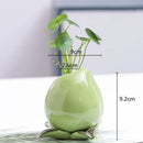 Axyaa Ceramic Persimmon Fruit Flower Pot for Home Decor