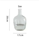 Axyaa Glass Vase: Big Belly Flower Arrangement Hydroponics Home Decoration