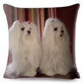 Maltese Dog Pillow Cover by Axyaa - Decorative Cushion Case for Home and Car