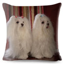 Maltese Dog Pillow Cover by Axyaa - Decorative Cushion Case for Home and Car