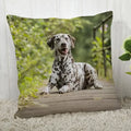 Dalmatians Pillowcase - Axyaa Modern Living Room Decoration