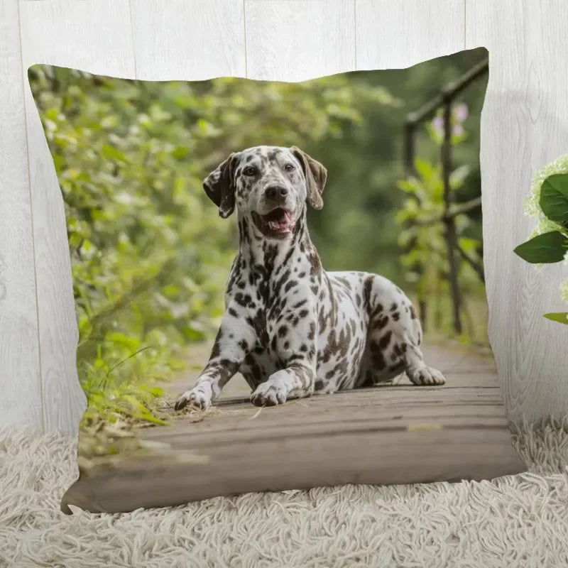 Dalmatians Pillowcase - Axyaa Modern Living Room Decoration