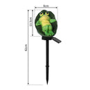 Axyaa Frog Resin Solar Outdoor Light for Garden Decor