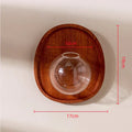 Axyaa Wall-Mounted Glass Flowerpot Vase: Home Decor Fish Tank Pendant Hydroponics Pot