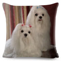 Maltese Dog Pillow Cover by Axyaa - Decorative Cushion Case for Home and Car