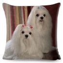 Maltese Dog Pillow Cover by Axyaa - Decorative Cushion Case for Home and Car