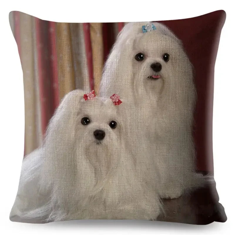 Maltese Dog Pillow Cover by Axyaa - Decorative Cushion Case for Home and Car