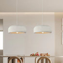 Axyaa Nordic LED Chandelier Minimalist Lighting Fixtures