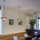 Axyaa Elegant Dining Table Lamps & Chandeliers - Bar Spotlights for Creative Restaurant Ambiance