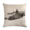 Axyaa Cat Printed Cotton Linen Cushion Cover 45x45cm