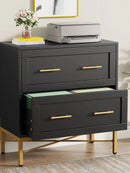 Axyaa 2 Drawer Lateral File Cabinet for Letter/Legal/A4 Size, Modern File Storage