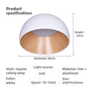 Axyaa Wood Grain Personality LED Ceiling Light for Bedroom, Living Room, Study