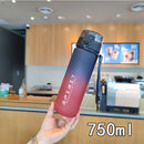 Axyaa Sports Water Bottle 1000ML Leak Proof Colorful Plastic Cup for Fitness & Travel