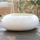 Axya White Oval Ceramic Flowerpot for Balcony Succulents and Outdoor Gardens