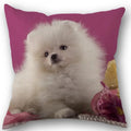 Axyaa Pomeranian Dog Pillowcase Cotton Linen Square Zipper 45X45cm Wedding Decor Pillow cover