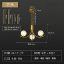 Axyaa Minimalist Acrylic Cover Chandelier Wrought Iron Lighting Fixtures