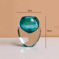 Axyaa Transparent Thick Bottom Glass Vase for Hydroponic Flower Arrangement