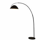 Axyaa Modern Art Decor Floor Lamp for Living Room & Home Decor