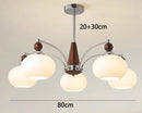 Axyaa Nordic Chandeliers for Dining Room Indoor Lighting Fixture