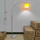 Axyaa Nordic Glass Floor Lamp LED Curved Fixture for Living Room & Bedroom