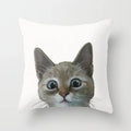 Axyaa Cute Cat Series Pillowcase: Square Office Decorative Cushion Cover