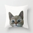 Axyaa Cute Cat Series Pillowcase: Square Office Decorative Cushion Cover
