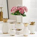 Axyaa Elegant White Ceramic Vase with Water Nourishing Rose Flower Arrangement