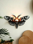 Axyaa Dragonfly Butterfly Crystal Shelf for Halloween Party Wall Decor Gothic Home Display