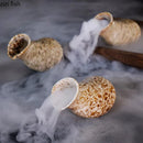 Axyaa Ceramic Conch Sushi Plate Set