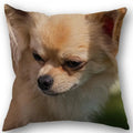 Axyaa Pomeranian Dog Pillowcase Cotton Linen Square Zipper 45X45cm Wedding Decor Pillow cover