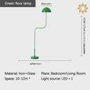 Axyaa Nordic Green Floor Lamp | Modern LED Standing Light for Home Decor