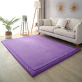 Axyaa 2cm Coral Fleece Carpet | Custom Size | Thickened | Branded Quality
