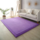 Axyaa 2cm Coral Fleece Carpet | Custom Size | Thickened | Branded Quality