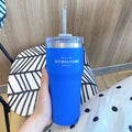Axyaa Stainless Steel Thermos Bottle with Straw, 700ML Insulation Water Cup