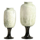 Axyaa Glass Vase with Dot Texture - Senior Art Bottle for Home Decoration