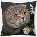 Axyaa Cat Series Pillowcase: Cute Living Room Sofa Cover for Home Decoration