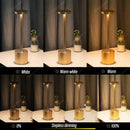 Axyaa LED Touch Sensor Table Lamp - 3 Colors Adjustable Night Light