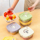 Axyaa Square Divided Lunch Box - Leakproof Portable Bento Container