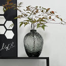 Axyaa Frosted Glass Vase - Elegant Decor for Living Room with Transparent Design